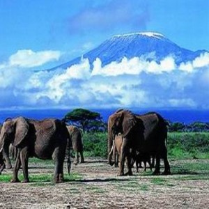Air Cargo from China to Kenya