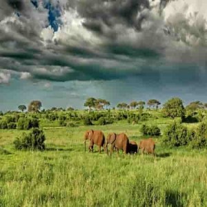 Air Cargo from China to Tanzania