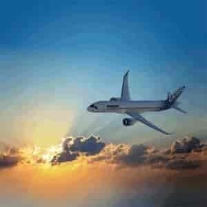 Air Cargo from China to Palestine